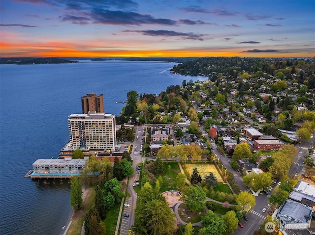 1629 42nd Ave E Unit B, Seattle, WA 98112 - aerial view at dusk of a water view