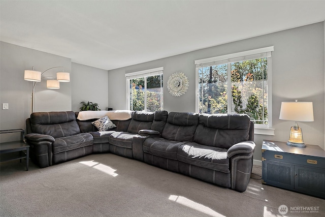 25126 SE 224th St, Maple Valley, WA 98038 - photo 9