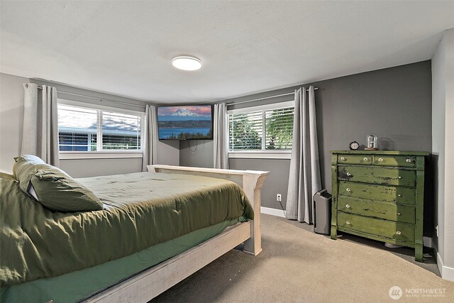 25126 SE 224th St, Maple Valley, WA 98038 - photo 27