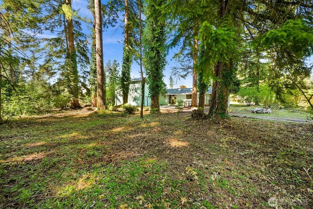 8672 Golden Valley Dr, Maple Falls, WA 98226 - photo 27