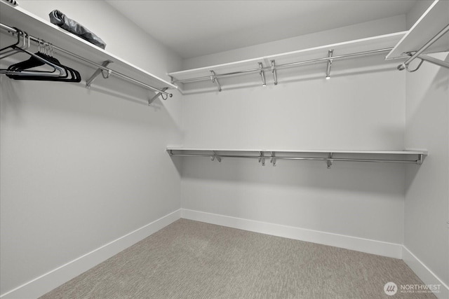 1427 114th Ave E, Edgewood, WA 98372 - spacious closet with carpet floors