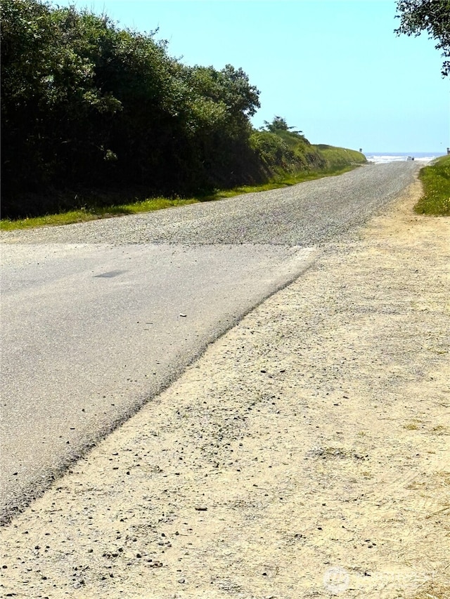 101 Sand Dune Ave NW, Ocean Shores, WA 98569 - view of asphalt road