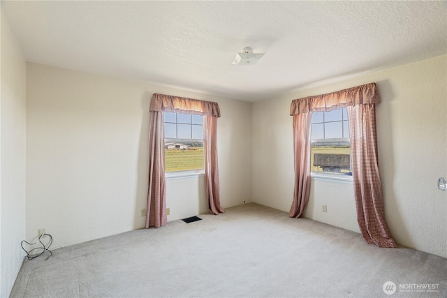 17406 Fir Island Rd, Conway, WA 98273 - photo 12