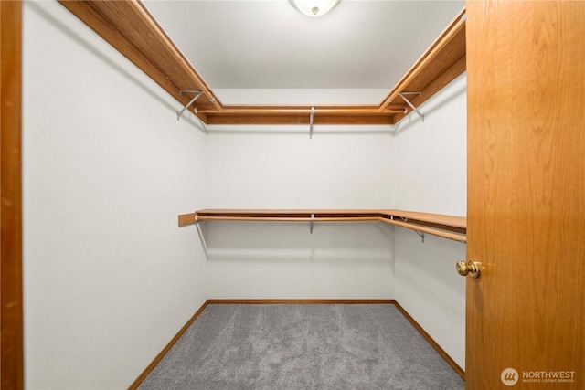 23013 SE 249th Pl, Maple Valley, WA 98038 - photo 23