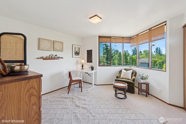 3921 S Angeline St, Seattle, WA 98118 - photo 16