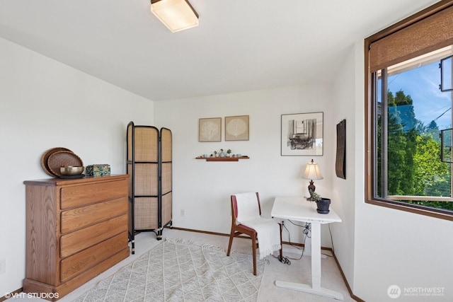 3921 S Angeline St, Seattle, WA 98118 - photo 17