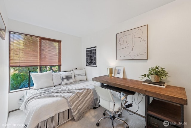 3921 S Angeline St, Seattle, WA 98118 - photo 20