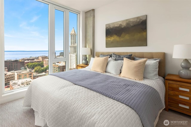 450 S Main St Unit 1608, Seattle, WA 98104 - carpeted bedroom featuring a water view and expansive windows