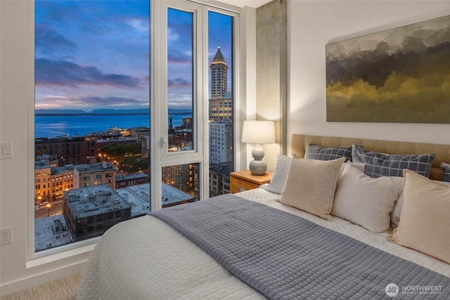 450 S Main St Unit 1608, Seattle, WA 98104 - bedroom featuring a water view and a city view