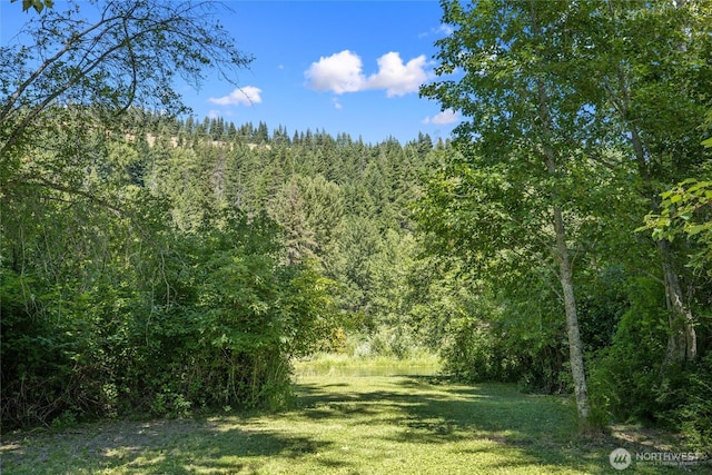 530 Elk Meadows Rd, Cle Elum, WA 98922 - photo 9