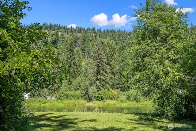 530 Elk Meadows Rd, Cle Elum, WA 98922 - photo 10