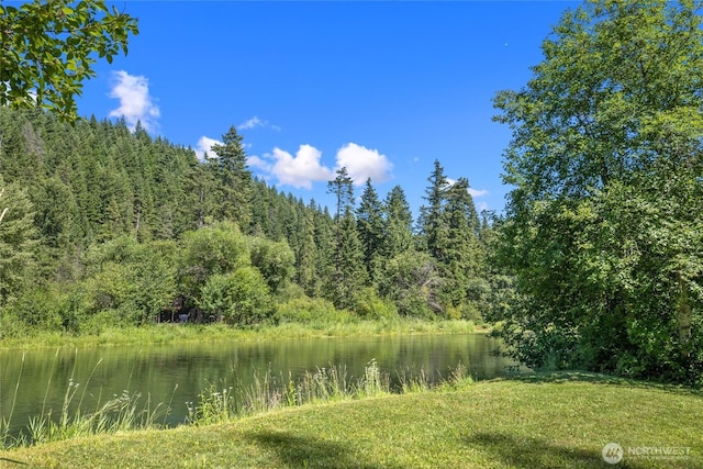 530 Elk Meadows Rd, Cle Elum, WA 98922 - photo 11