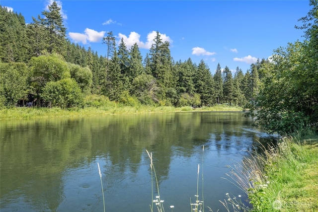 530 Elk Meadows Rd, Cle Elum, WA 98922 - photo 2