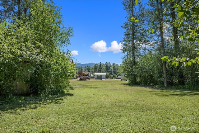530 Elk Meadows Rd, Cle Elum, WA 98922 - photo 4