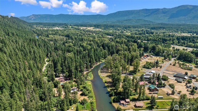 530 Elk Meadows Rd, Cle Elum, WA 98922 - photo 16