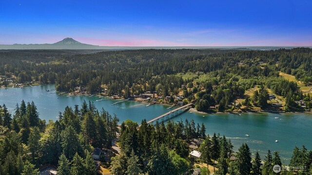 102 Park Ave NW, Gig Harbor, WA 98335 - photo 37