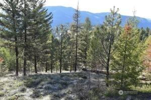 70 Excelsior Way, Curlew, WA 99166 - photo 3