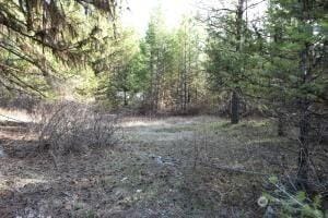 70 Excelsior Way, Curlew, WA 99166 - photo 4