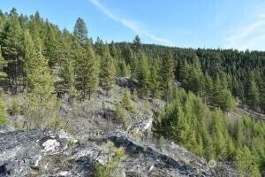 70 Excelsior Way, Curlew, WA 99166 - photo 5
