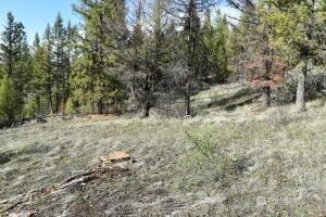 70 Excelsior Way, Curlew, WA 99166 - photo 6
