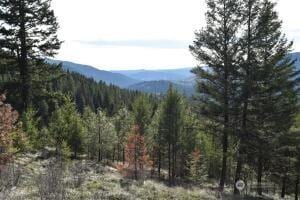 70 Excelsior Way, Curlew, WA 99166 - photo 7