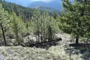 70 Excelsior Way, Curlew, WA 99166 - photo 8