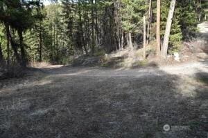 70 Excelsior Way, Curlew, WA 99166 - photo 10