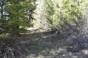 70 Excelsior Way, Curlew, WA 99166 - photo 11