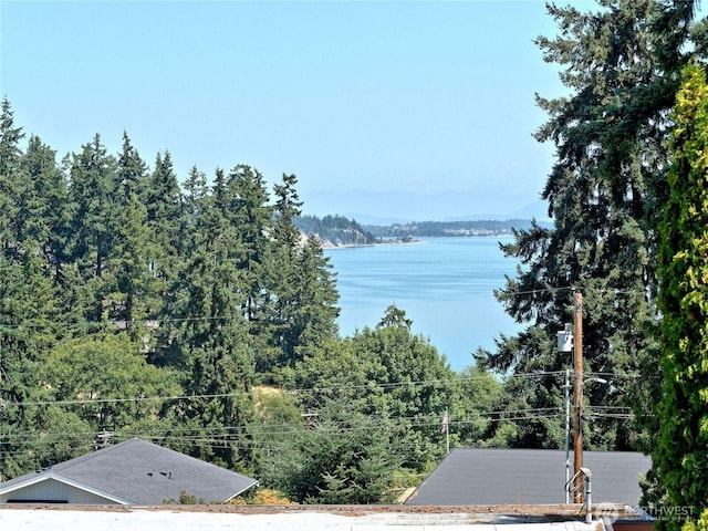 1273 SE Camano Dr, Camano Island, WA 98282 - photo 14