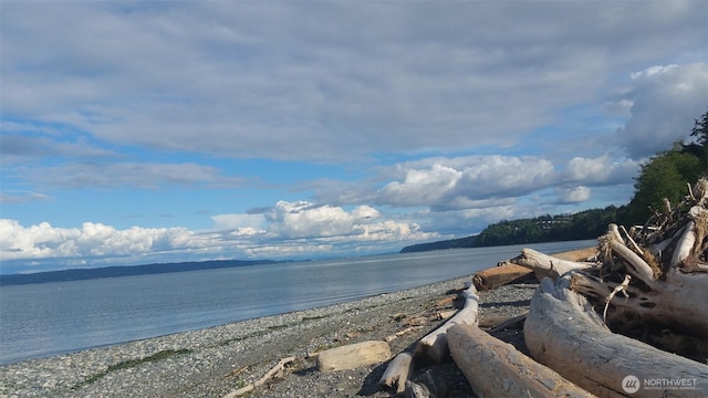 1273 SE Camano Dr, Camano Island, WA 98282 - photo 33