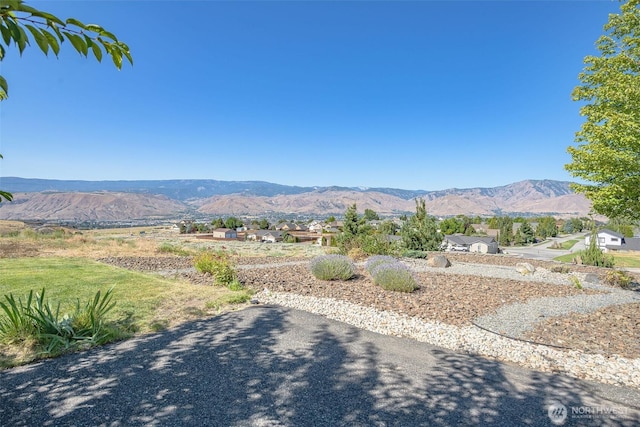 1243 Wheatridge Dr, East Wenatchee, WA 98802 - photo 6