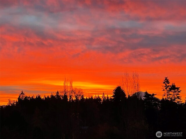 8603 Woodland Ave E, Puyallup, WA 98371 - photo 4