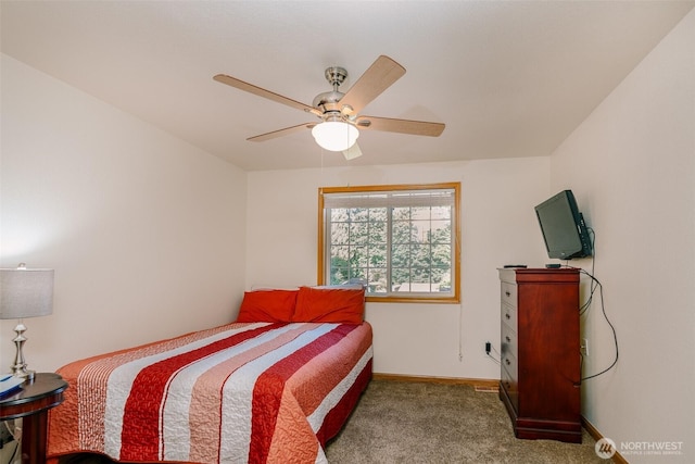 2117 Woodland Creek St NE, Olympia, WA 98516 - photo 16