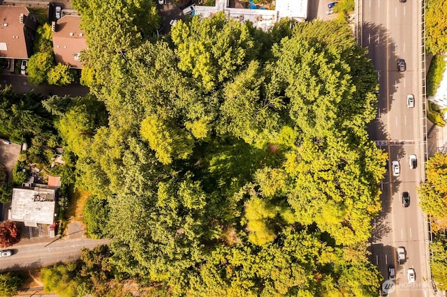 500 Raye St, Seattle, WA 98119 - photo 8