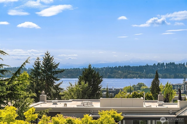 136 8th Ct, Kirkland, WA 98033 - photo 26