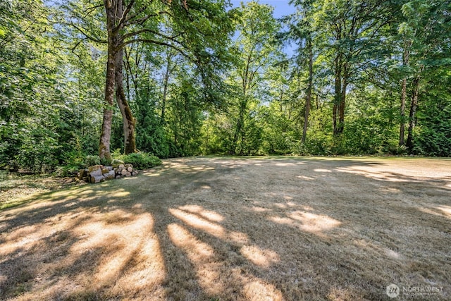 27904 195th Ave SE, Kent, WA 98042 - photo 35