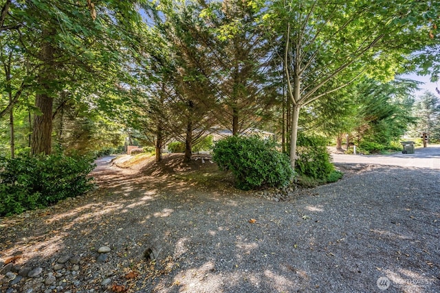 27904 195th Ave SE, Kent, WA 98042 - photo 36