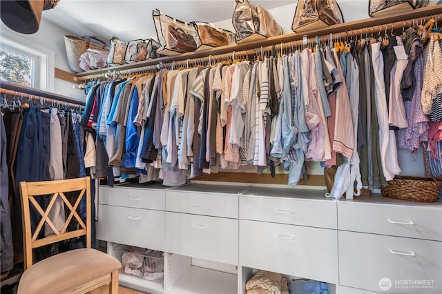 2060 Hammond Ave, Dupont, WA 98327 - view of spacious closet