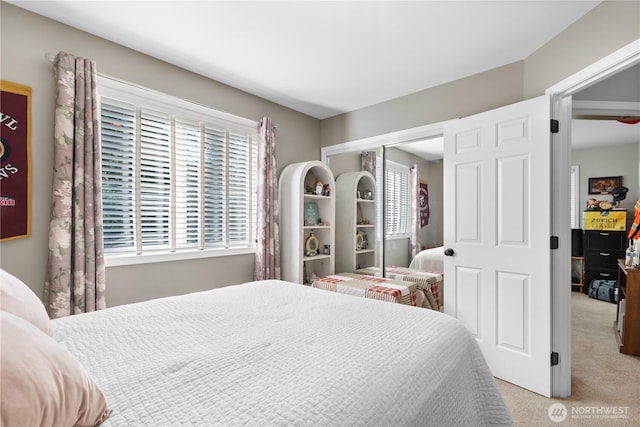 2060 Hammond Ave, Dupont, WA 98327 - bedroom featuring light carpet and a closet