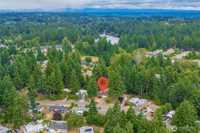35769 27th Ave S, Federal Way, WA 98003 - photo 38
