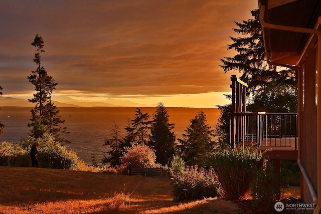 3340 Smugglers Cove Rd, Greenbank, WA 98253 - photo 31
