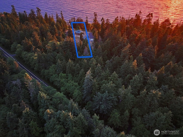 3340 Smugglers Cove Rd, Greenbank, WA 98253 - photo 34
