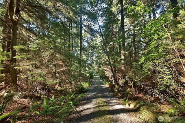 3340 Smugglers Cove Rd, Greenbank, WA 98253 - photo 37