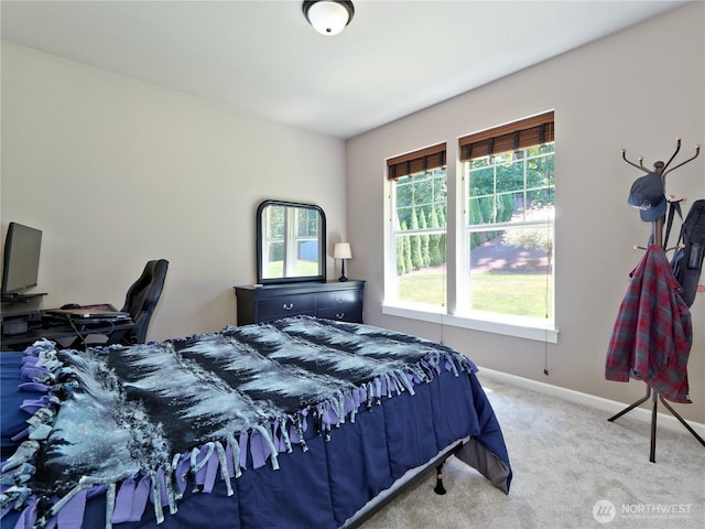 1022 259th St NW, Stanwood, WA 98292 - photo 15