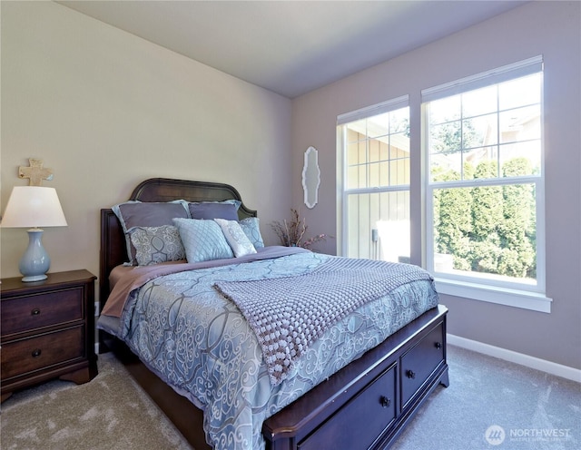1022 259th St NW, Stanwood, WA 98292 - photo 16