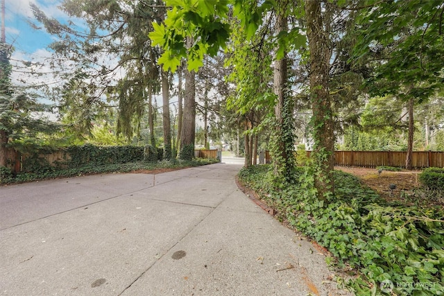 8019 Veterans Dr SW, Lakewood, WA 98498 - photo 3