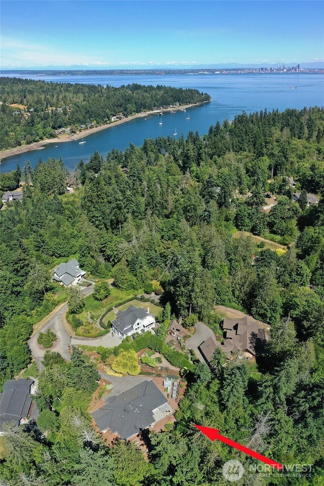 9761 NE Charisma Cir, Bainbridge Island, WA 98110 - photo 37