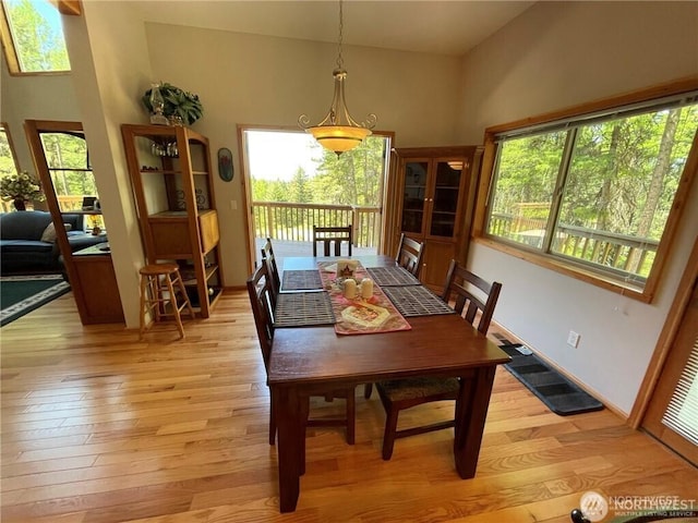 4 Ruger Rd, Oroville, WA 98844 - dining area with light wood finished floors