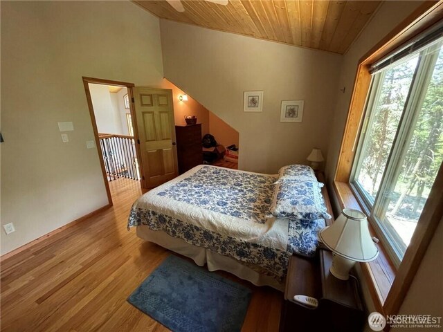 4 Ruger Rd, Oroville, WA 98844 - bedroom with wood ceiling, wood finished floors, and vaulted ceiling