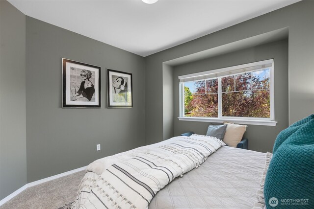 2803 19th Street Pl SW, Puyallup, WA 98373 - photo 22